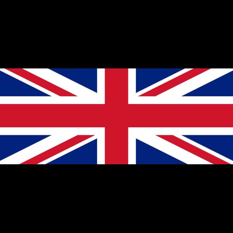 Curso de Inglês Avançado I