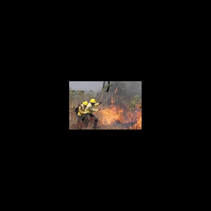 Básico de Combate à Incêndio Florestal